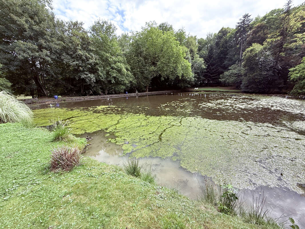 Maison à SAINT-DENIS-SUR-SARTHON