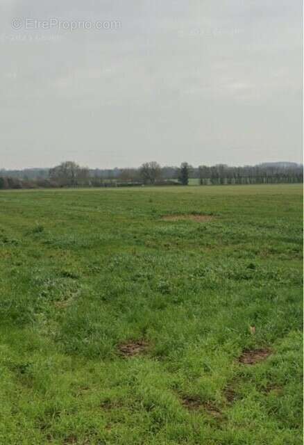 Terrain à VILLEDOUX