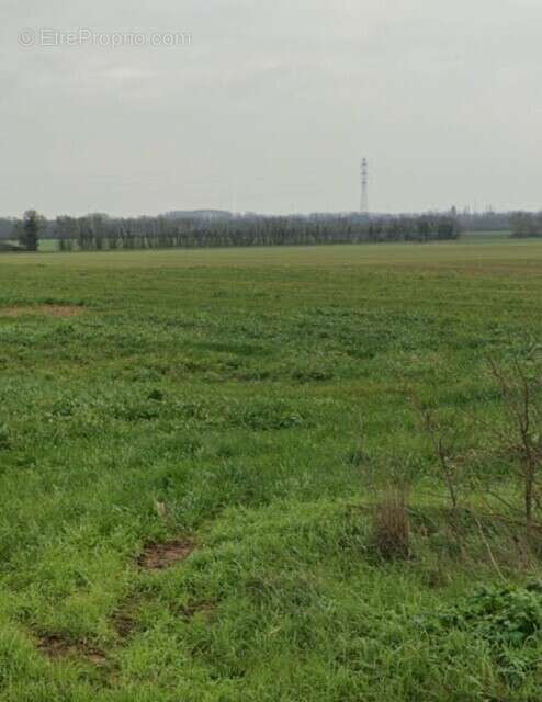 Terrain à VILLEDOUX