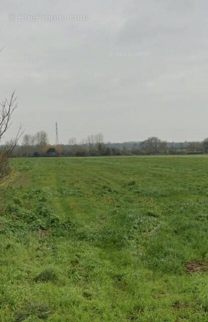 Terrain à VILLEDOUX