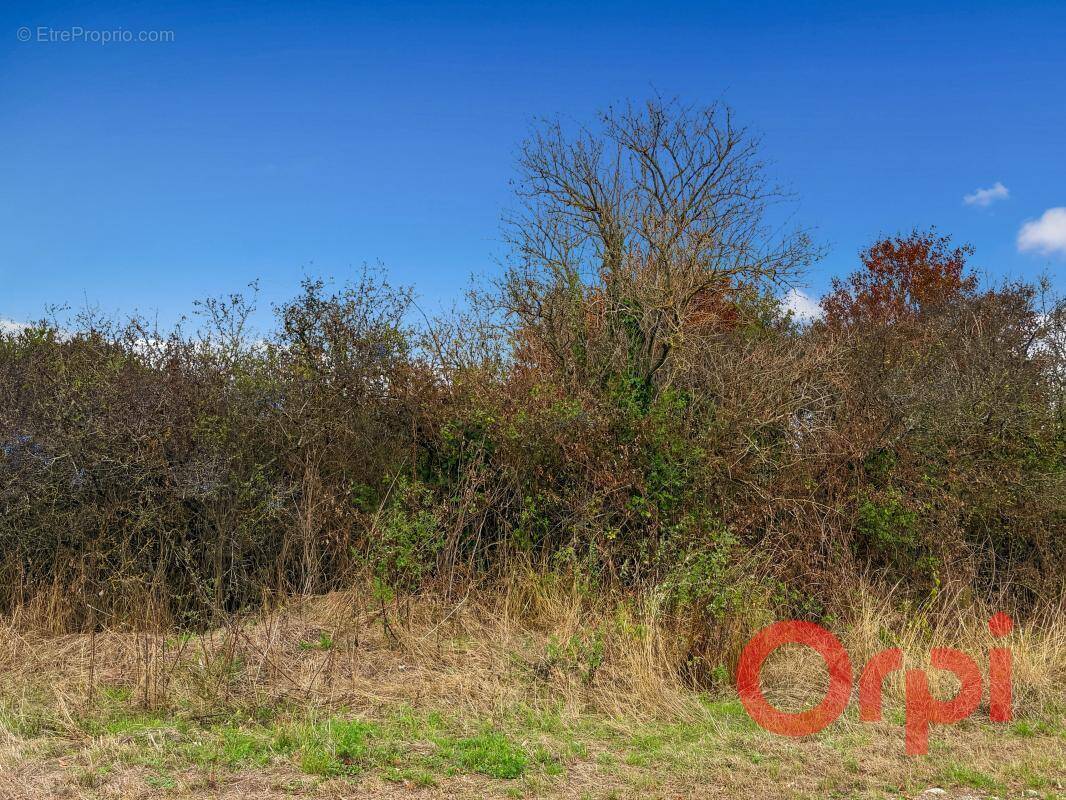Terrain à BESSAIS-LE-FROMENTAL