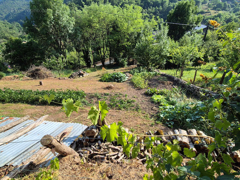 Maison à SAINT-HIPPOLYTE