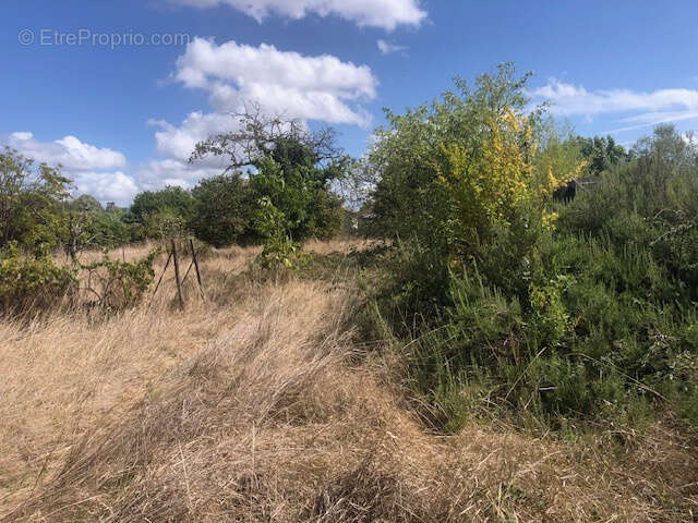Terrain à COGNAC