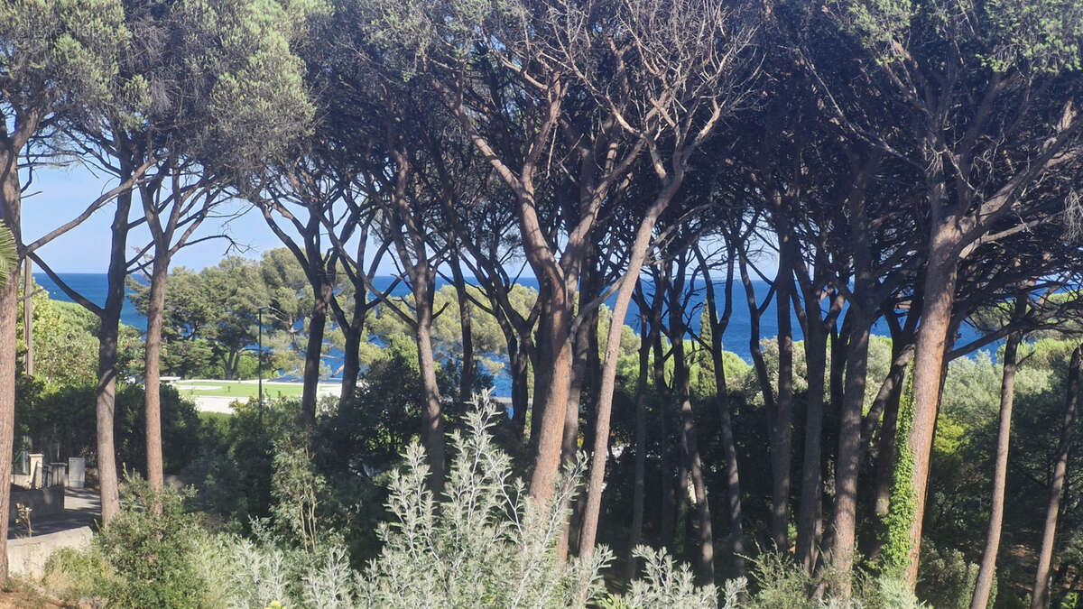 Appartement à SAINTE-MAXIME