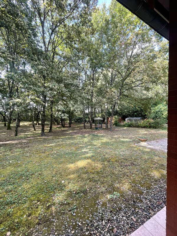 Maison à VILLENEUVE-LES-BOULOC