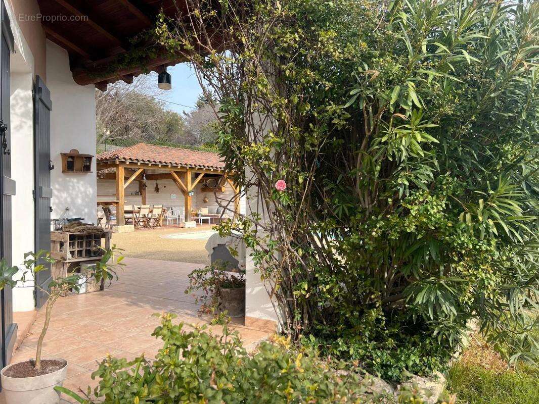 Maison à BELLEGARDE