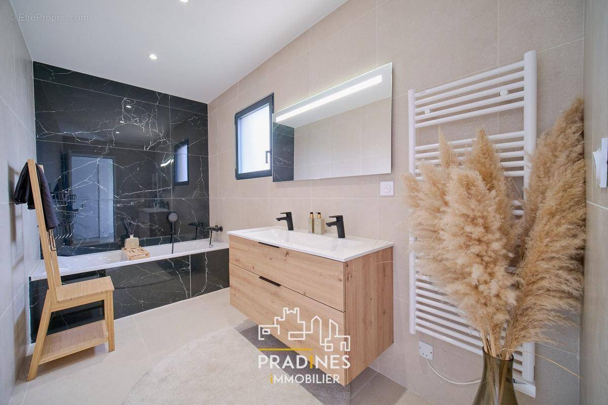 Maison à CHONAS-L&#039;AMBALLAN