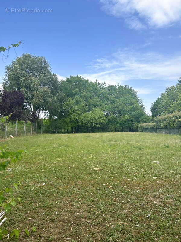 Terrain à BONNY-SUR-LOIRE