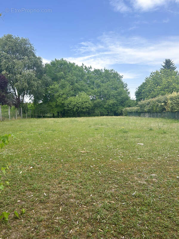 Terrain à BONNY-SUR-LOIRE
