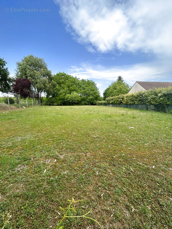 Terrain à BONNY-SUR-LOIRE