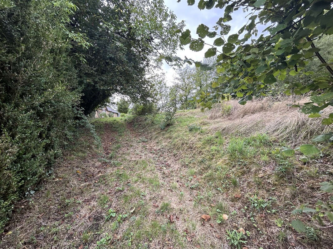 Autre à CHAMBOULIVE