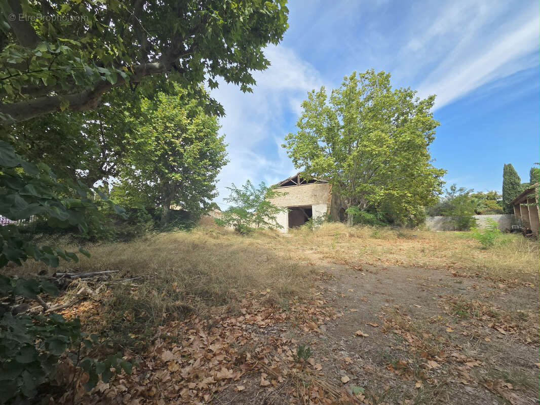 Terrain à PUISSERGUIER