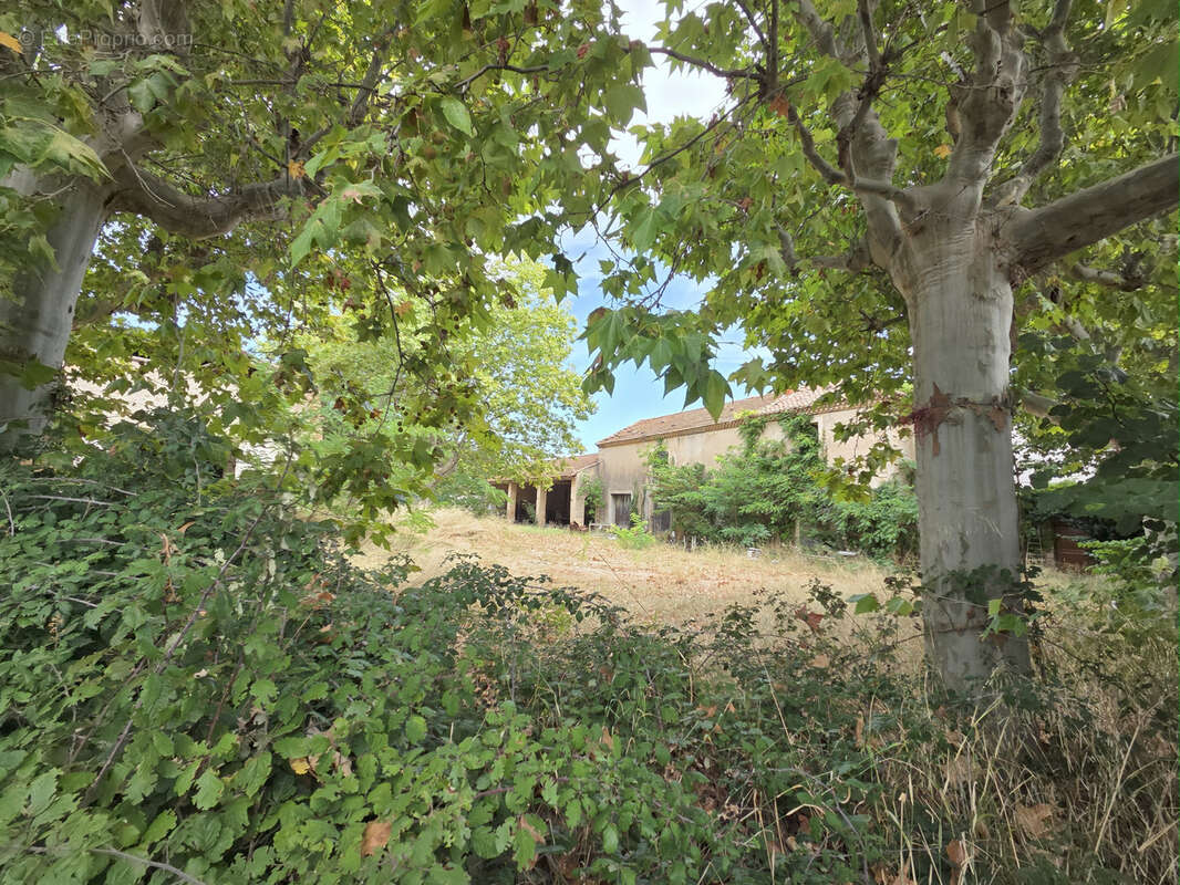 Terrain à PUISSERGUIER