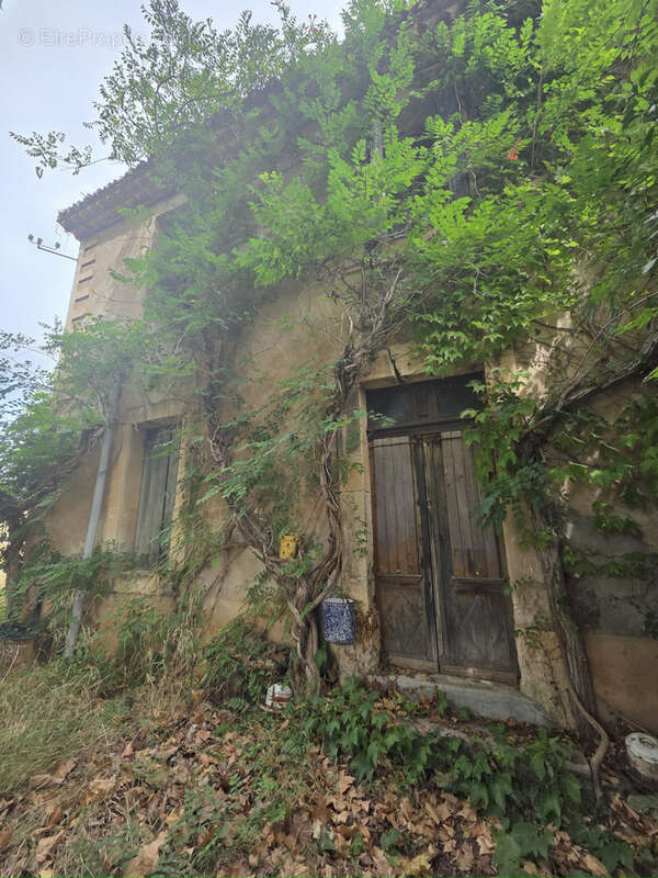 Terrain à PUISSERGUIER