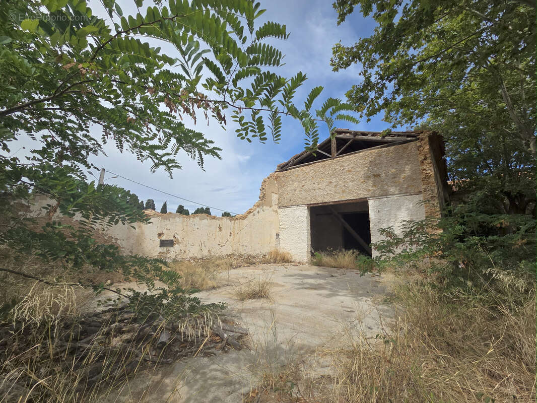 Terrain à PUISSERGUIER