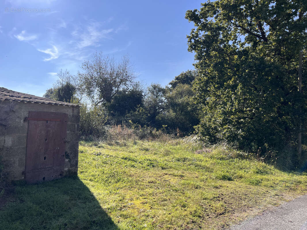 Maison à ARTHON-EN-RETZ