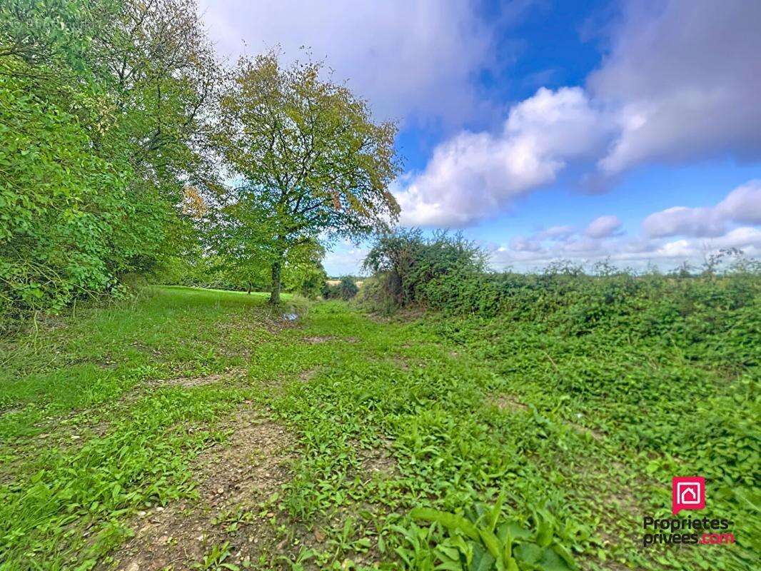 Maison à SAINT-FULGENT-DES-ORMES