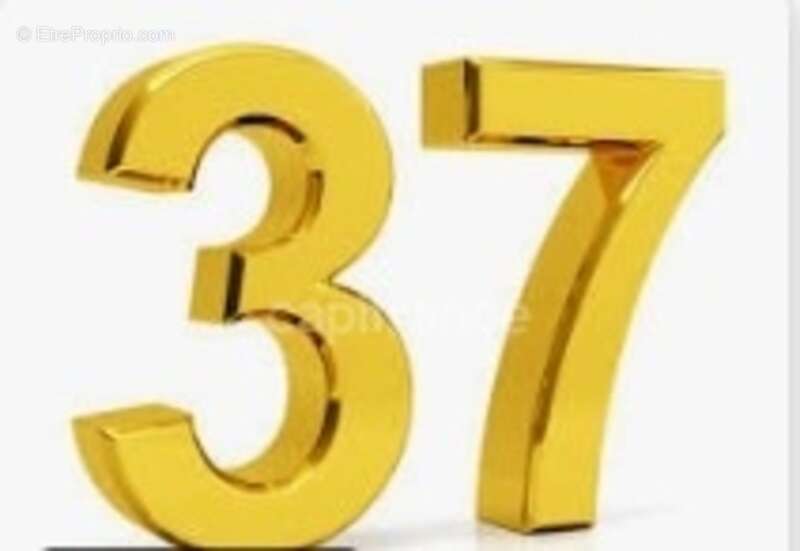 Commerce à TOULOUSE