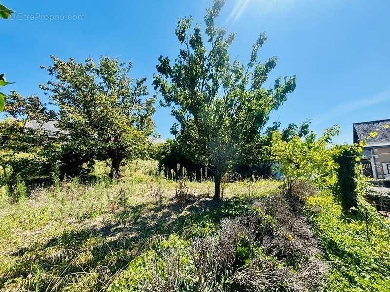 Maison à FONTAINE-GUERIN