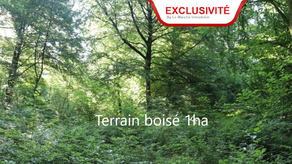 Terrain à LA REUNION