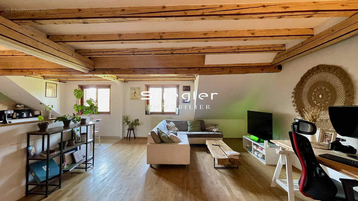 Grand salon séjour - Appartement à HANDSCHUHEIM