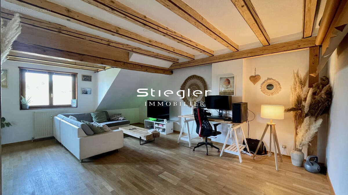 Grand salon séjour - Appartement à HANDSCHUHEIM