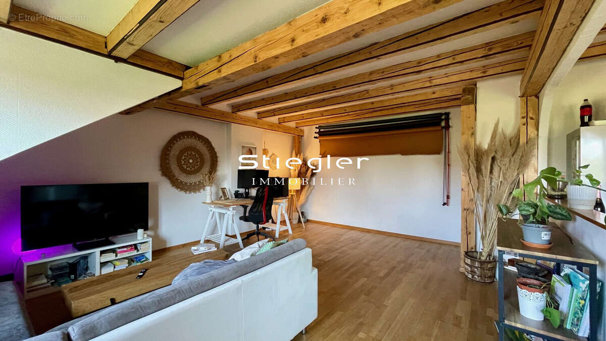 Grand salon séjour - Appartement à HANDSCHUHEIM