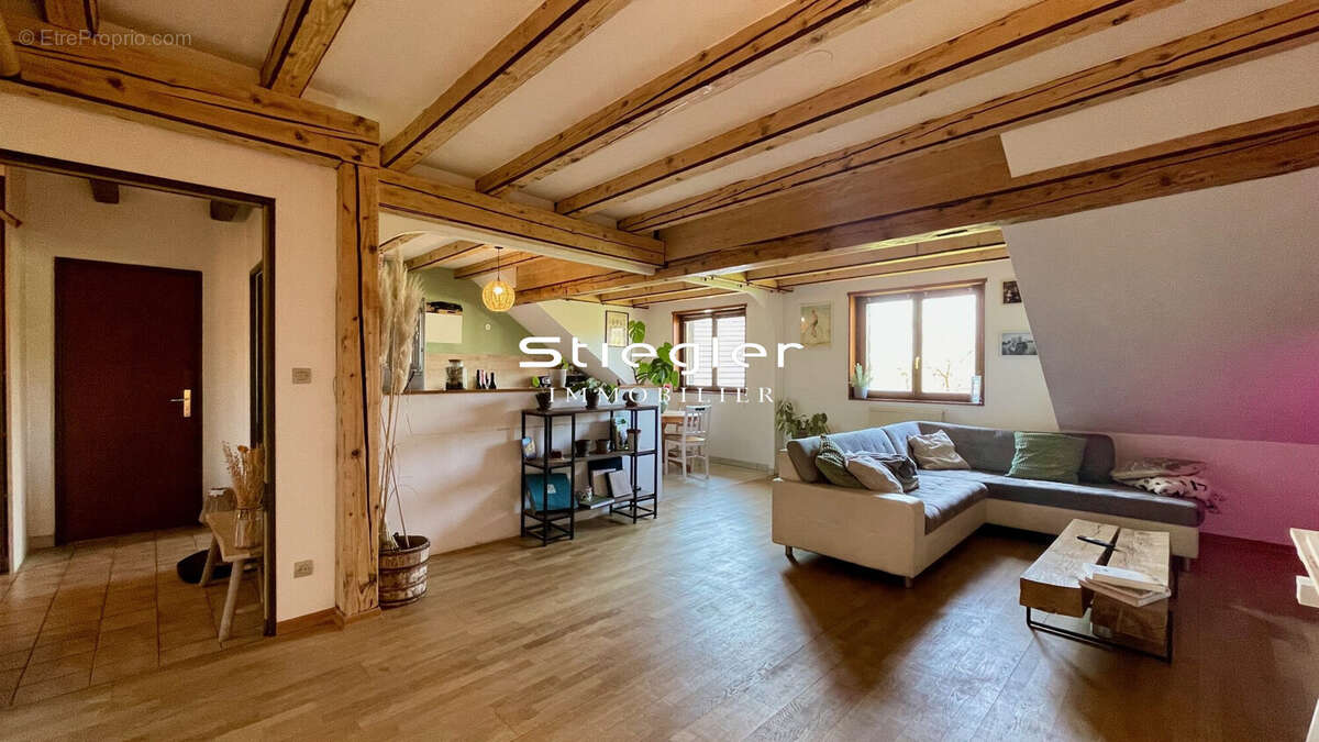 Grand salon séjour - Appartement à HANDSCHUHEIM