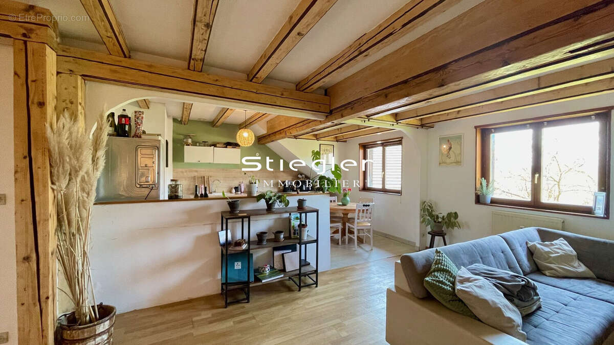 Grand salon séjour - Appartement à HANDSCHUHEIM