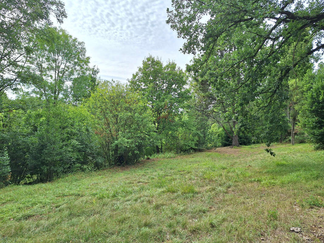 Maison à PUYLAURENS