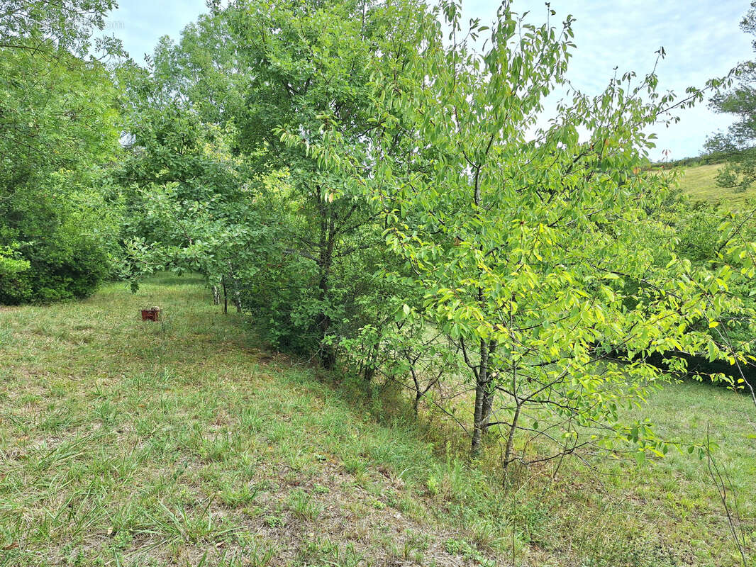 Maison à PUYLAURENS