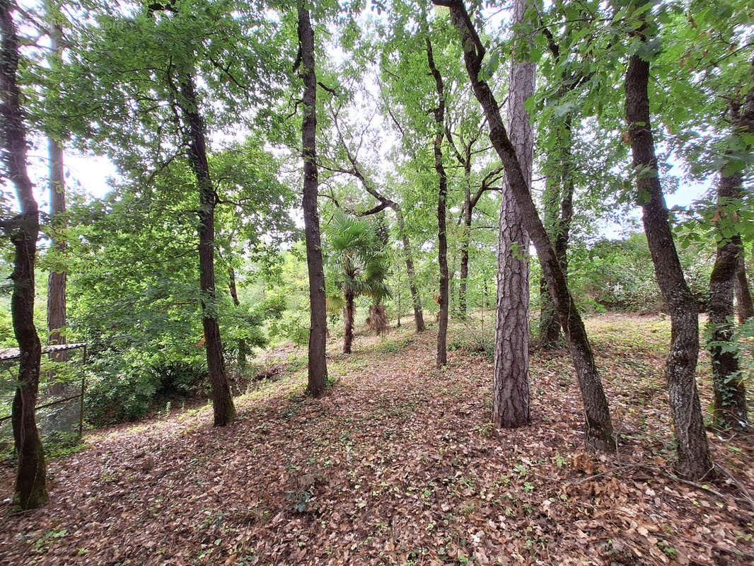 Maison à PUYLAURENS