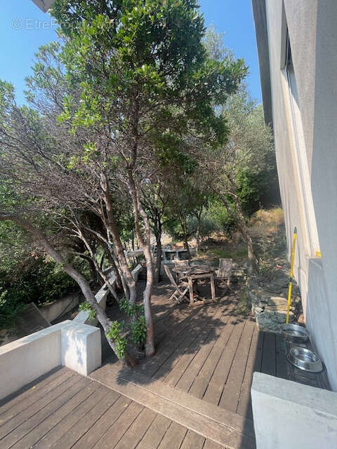 Maison à SAN-MARTINO-DI-LOTA