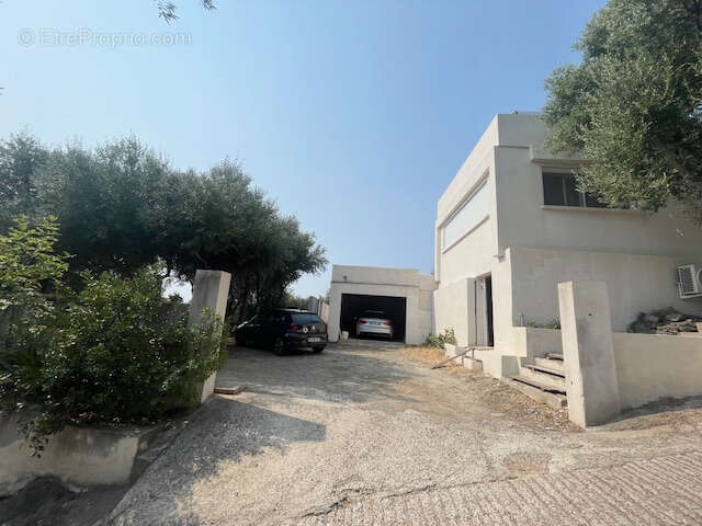 Maison à SAN-MARTINO-DI-LOTA