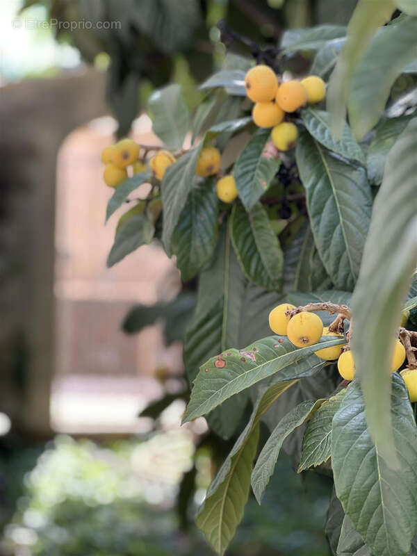 Maison à GALLARGUES-LE-MONTUEUX