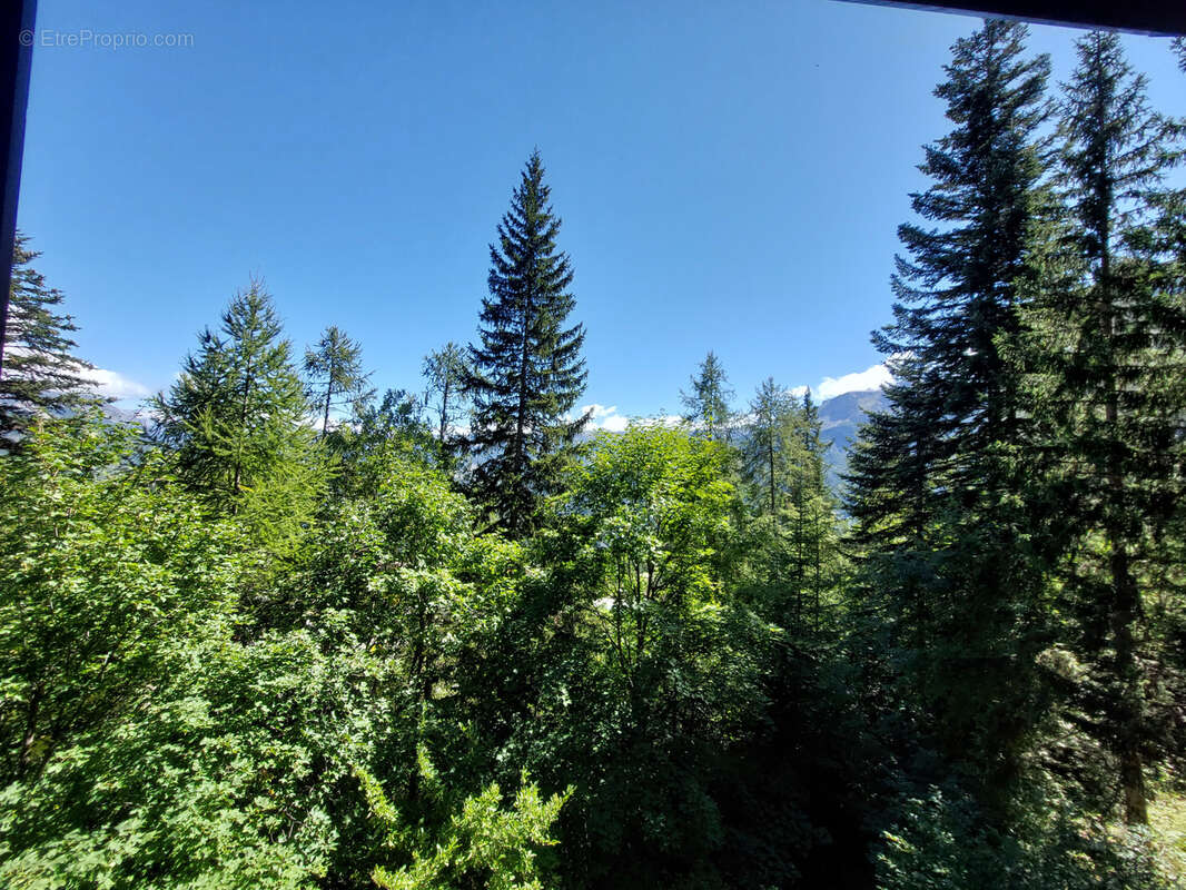 Appartement à UVERNET-FOURS