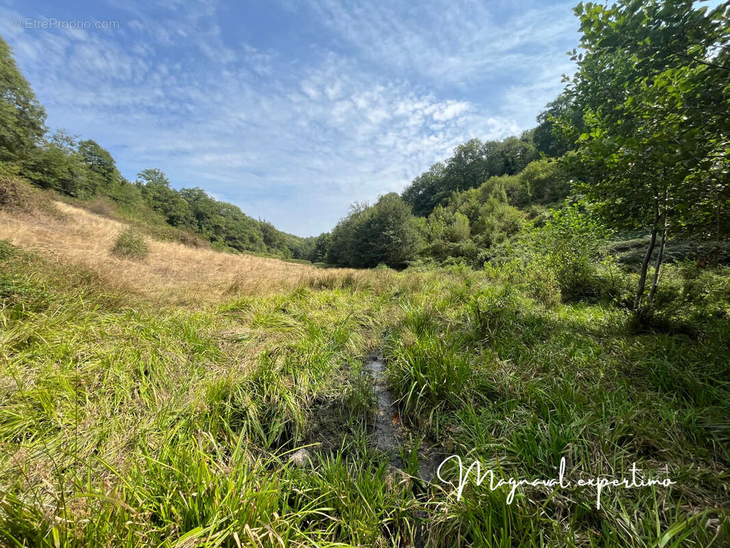 Maison à MONTREDON-LABESSONNIE