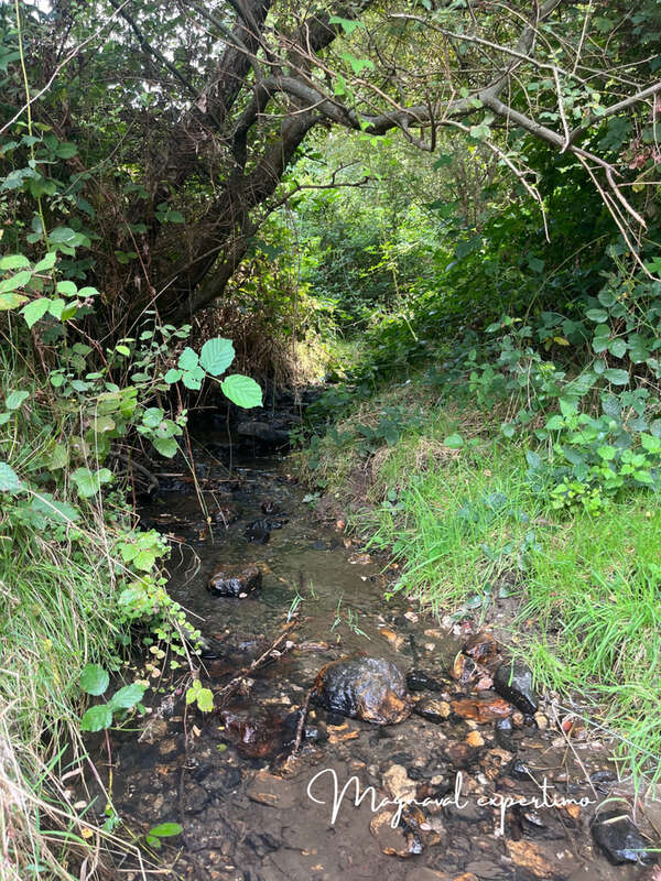 Maison à MONTREDON-LABESSONNIE