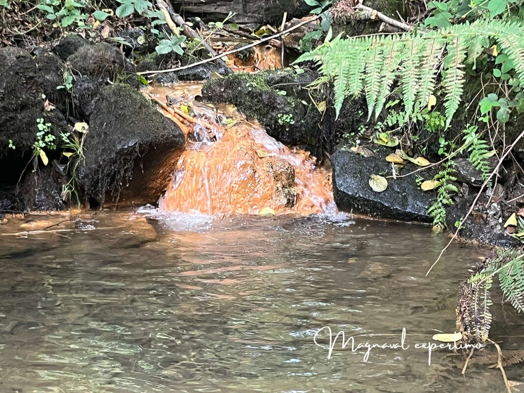 Maison à MONTREDON-LABESSONNIE