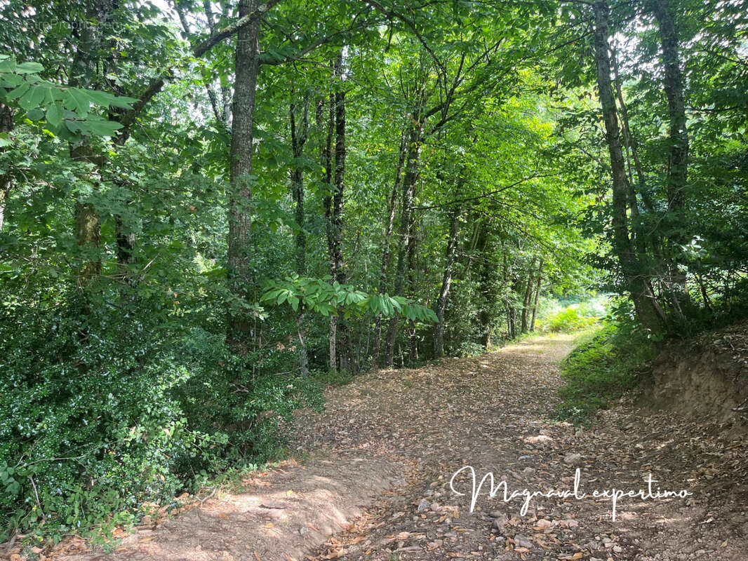 Maison à MONTREDON-LABESSONNIE