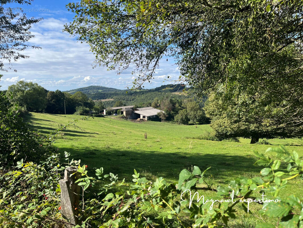 Maison à MONTREDON-LABESSONNIE