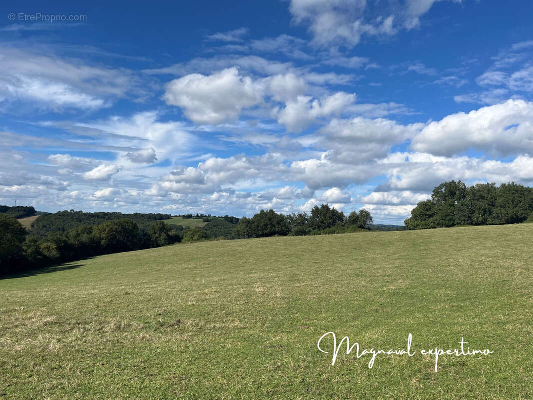 Maison à MONTREDON-LABESSONNIE