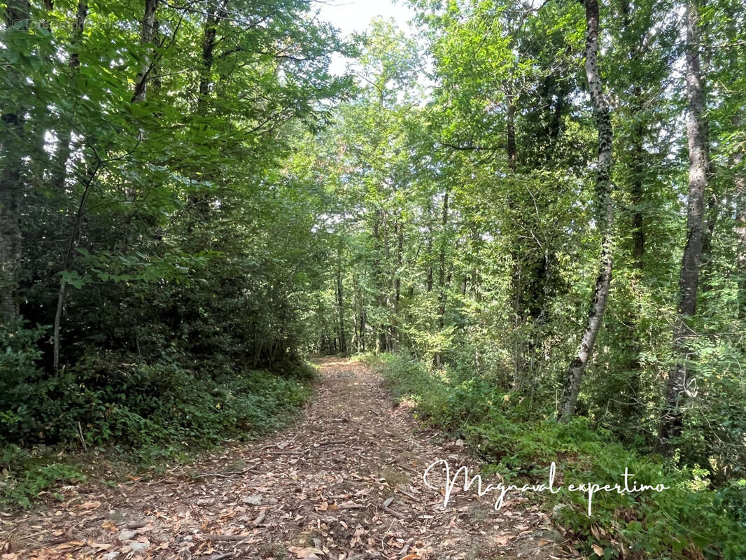 Maison à MONTREDON-LABESSONNIE