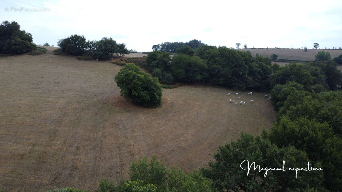 Maison à MONTREDON-LABESSONNIE