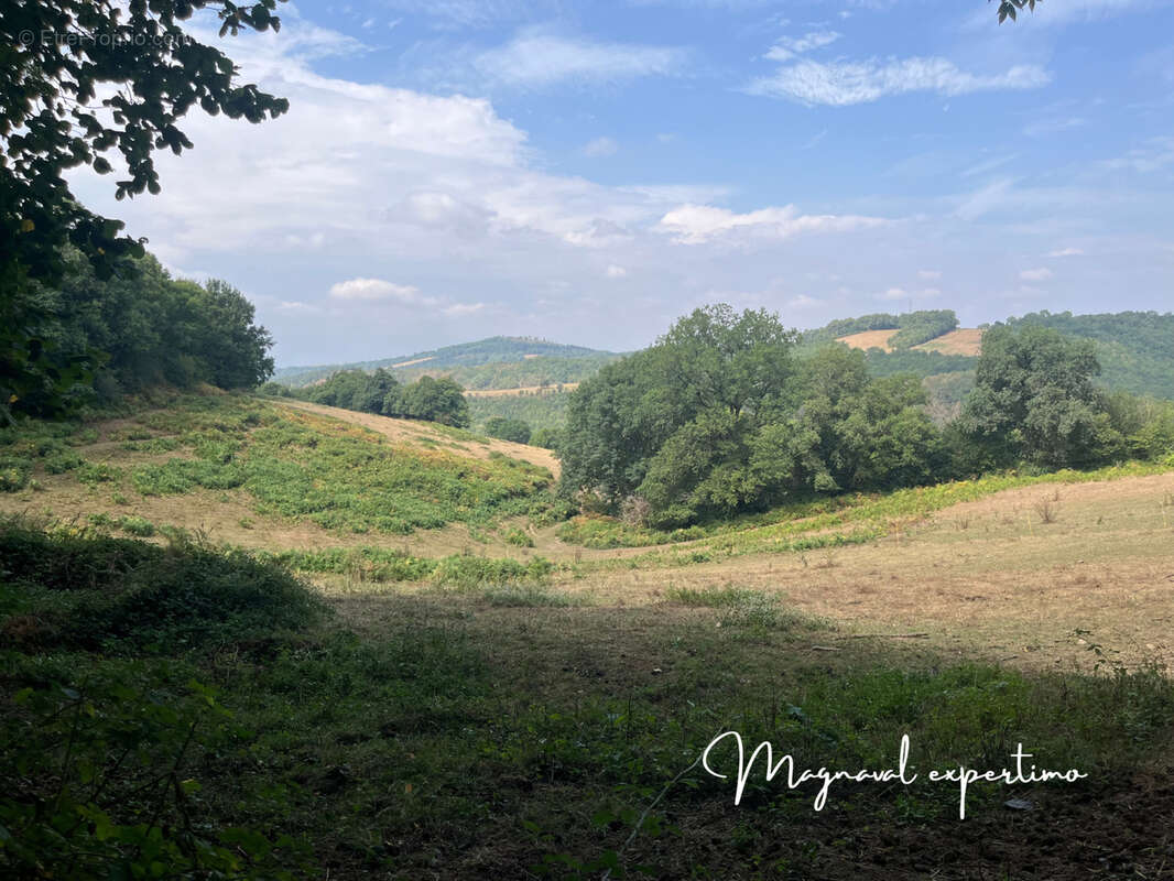 Maison à MONTREDON-LABESSONNIE