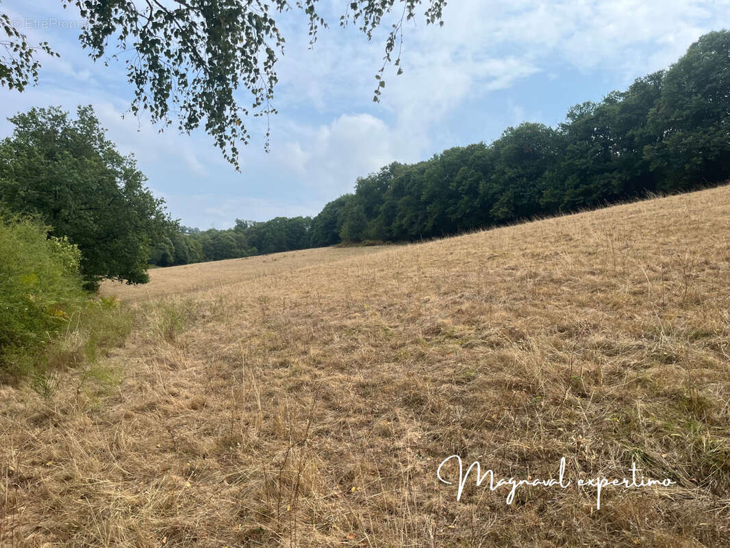 Maison à MONTREDON-LABESSONNIE