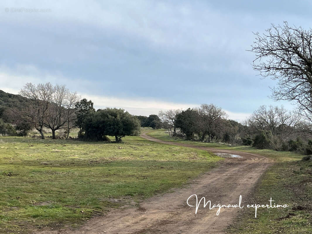 Maison à CLERMONT-L'HERAULT