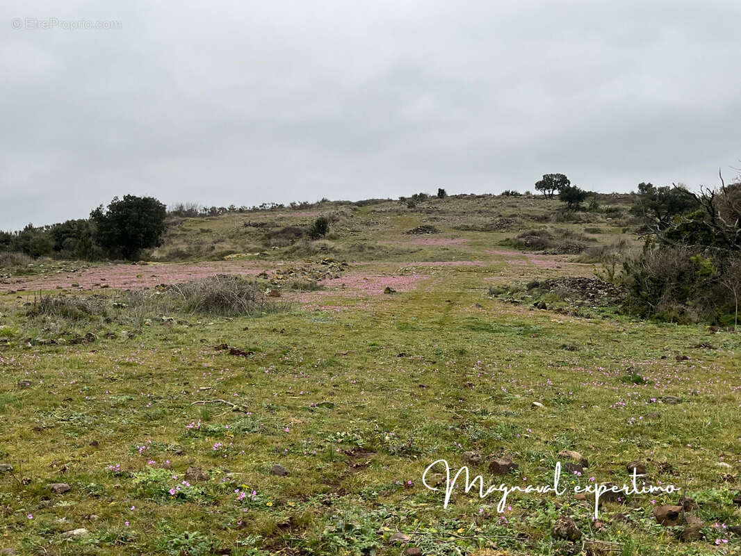 Maison à CLERMONT-L'HERAULT