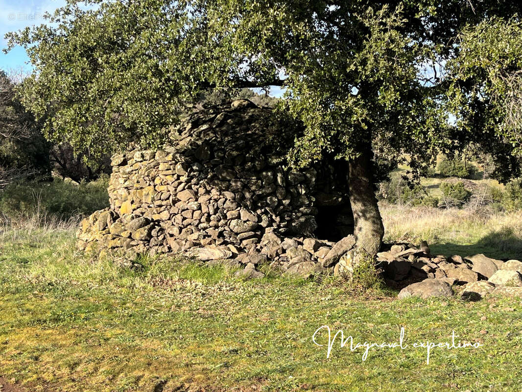 Maison à CLERMONT-L'HERAULT