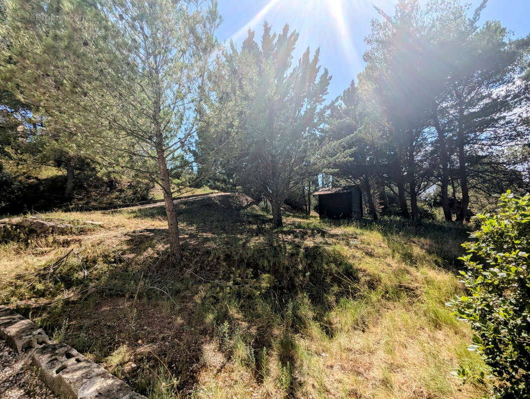 Maison à POUZOLS-MINERVOIS